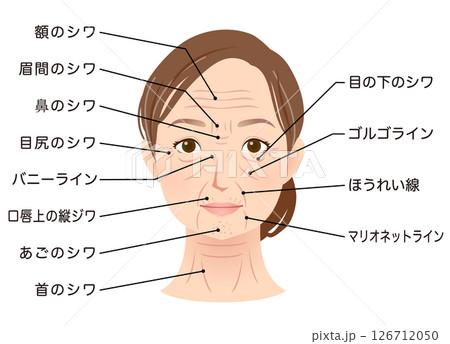 シワの種類　女性の顔　美容　シニア女性 126712050