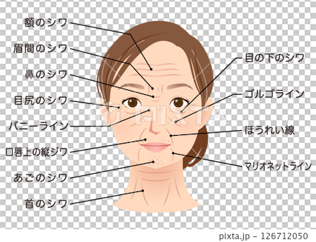 シワの種類　女性の顔　美容　シニア女性 126712050