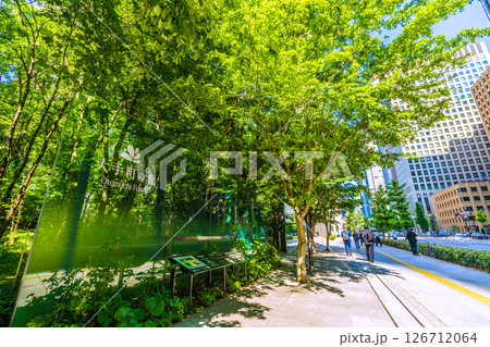 日本の東京都市景観 大手町の森などを望む＝5月28日、大手町 126712064