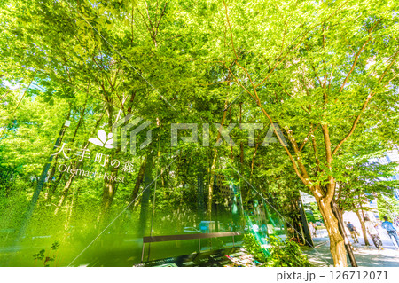 日本の東京都市景観 大手町の森などを望む＝5月28日、大手町 126712071