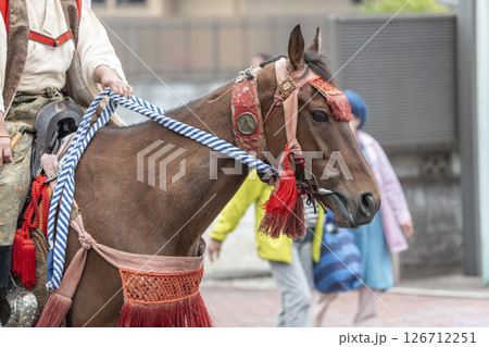 相馬野馬追 飾り付けられた馬 福島県南相馬市 相馬野馬追 飾り付けられた馬 福島県南相馬市 126712251