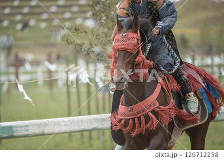 相馬野馬追　飾り付けられた馬　福島県南相馬市 126712258