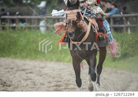 相馬野馬追　飾り付けられた馬　福島県南相馬市 126712264