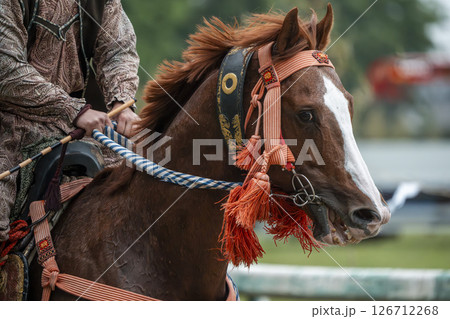 相馬野馬追　飾り付けられた馬　福島県南相馬市 126712268