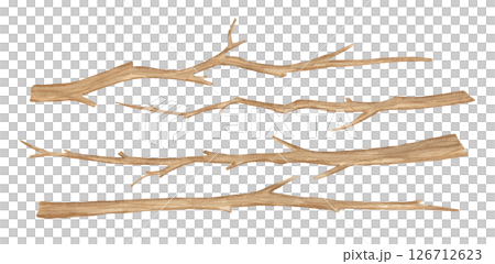 Watercolor tree branches set isolated on white background. Hand painted illustration, wooden twig Watercolor tree branches set isolated on white background. Hand painted illustration, wooden twig 126712623