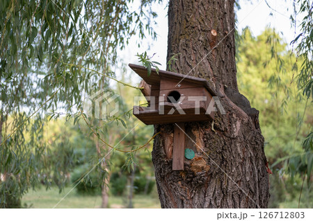 Beautiful birdhouse on a tree for birds Beautiful birdhouse on a tree for birds 126712803
