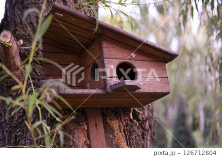Beautiful birdhouse on a tree for birds Beautiful birdhouse on a tree for birds 126712804