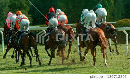 Racehorses in a line gallop up to the Winning Line together, freeze motion 126712895