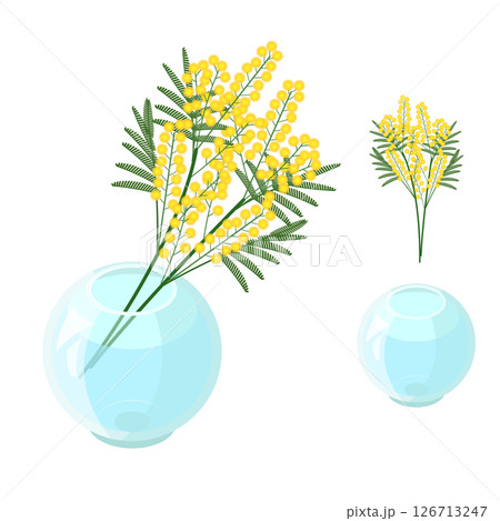 ガラスの花瓶に生けられたミモザのセット_アイソメトリックのイラスト 126713247