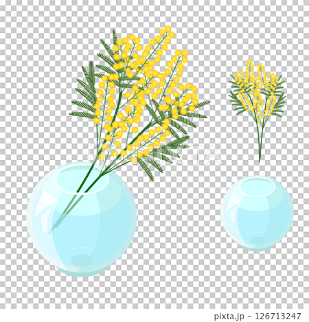 ガラスの花瓶に生けられたミモザのセット_アイソメトリックのイラスト 126713247