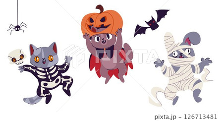 Halloween pet costumes 126713481