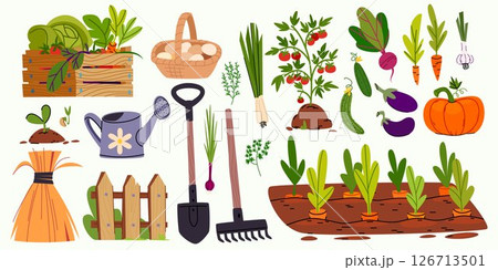 Gardening tools and vegetables set Gardening tools and vegetables set 126713501