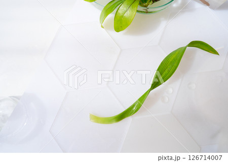 Science and nature concept Science and nature concept 126714007