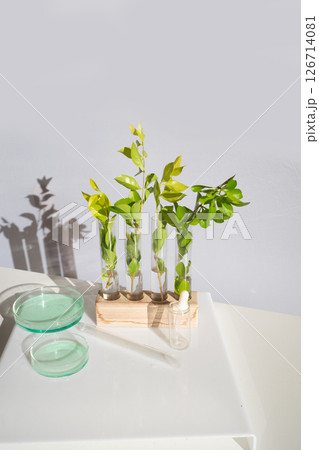 Science and nature concept Science and nature concept 126714081