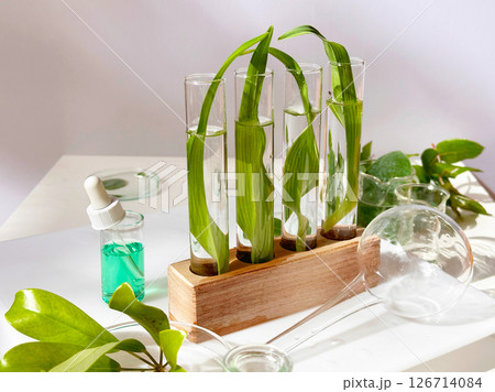 Science and nature concept 126714084