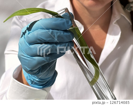 Science and nature concept 126714085
