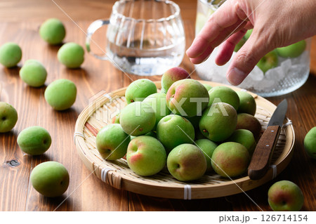 収穫した紀州南高梅 青梅 126714154