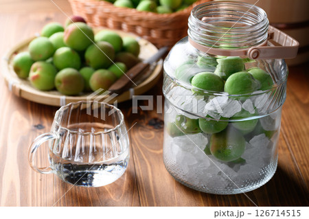 収穫した紀州南高梅 青梅で梅酒をつくる 126714515