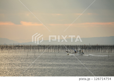 大牟田市 有明海 海苔畑、 大牟田市 有明海 海苔畑、 126714754