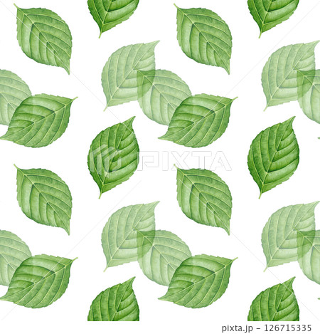 Pattern of watercolor green leaves isolated on a white background. Good for postcards, invitations, greeting cards, wallpaper, textiles 126715335