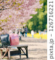 ランドセルと河津桜 126716221