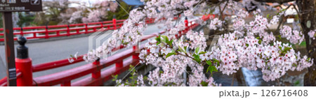 250421中橋桜z052-057P 250421中橋桜z052-057P 126716408