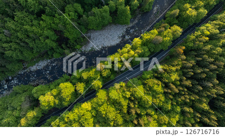 Fresh Spring Deep Forest with Mountain River and Asphalt Road. Beautiful Lush Vegetation with Sunset Light. Aerial View. Fresh Spring Deep Forest with Mountain River and Asphalt Road. Beautiful Lush Vegetation with Sunset Light. Aerial View. 126716716