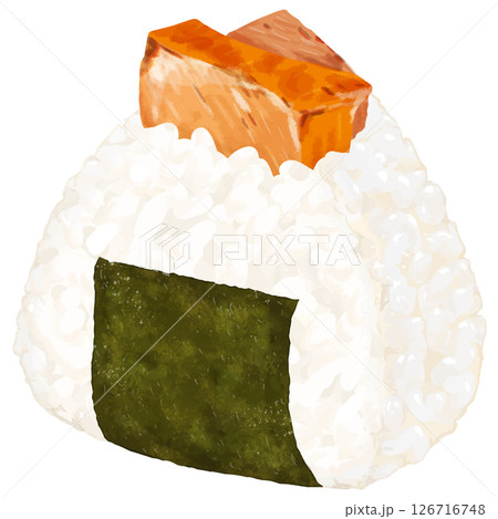 リアルな焼き鮭入りおにぎりのイラスト リアルな焼き鮭入りおにぎりのイラスト 126716748