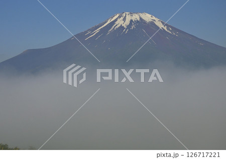 丹沢の鉄砲木ノ頭(明神山)より 晴れ行く朝霧に現れる夏富士 丹沢の鉄砲木ノ頭(明神山)より 晴れ行く朝霧に現れる夏富士 126717221