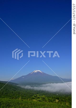 丹沢の鉄砲木ノ頭（明神山）より　夏の富士山　コピースペース 126717227