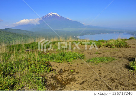 丹沢の鉄砲木ノ頭(明神山)山頂より望む残雪の富士山と山中湖 丹沢の鉄砲木ノ頭(明神山)山頂より望む残雪の富士山と山中湖 126717240