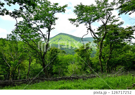 丹沢山地の高指山より 夏の大岩を眺める 丹沢山地の高指山より 夏の大岩を眺める 126717252