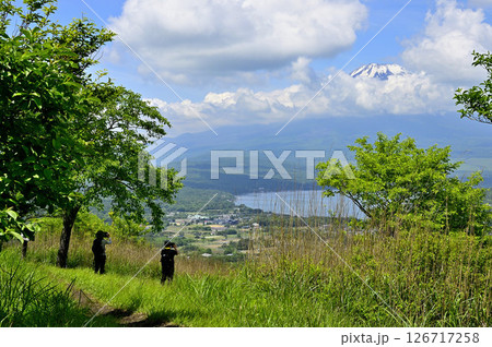 丹沢山地の甲相国境尾根　夏の高指山山頂より望む富士山 126717258