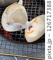 ハマグリ 126717388