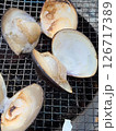 ハマグリ 126717389