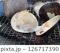 ハマグリ 126717390