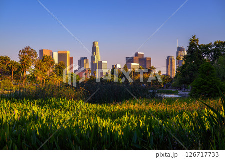 Los Angeles Downtown Skyline at Sunset from Echo Lake Park Los Angeles Downtown Skyline at Sunset from Echo Lake Park 126717733