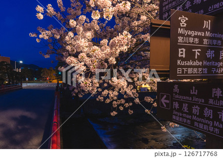 250422中橋桜z021 250422中橋桜z021 126717768