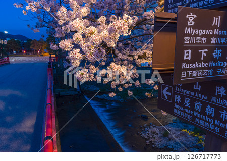 250422中橋桜z031 250422中橋桜z031 126717773