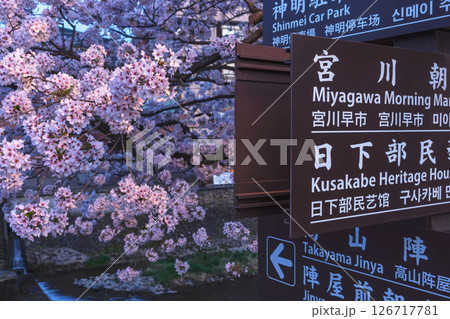 250422中橋桜z063 250422中橋桜z063 126717781