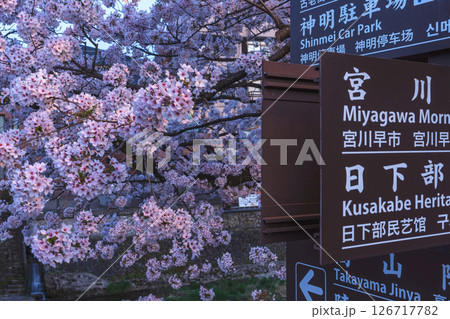250422中橋桜z071 250422中橋桜z071 126717782