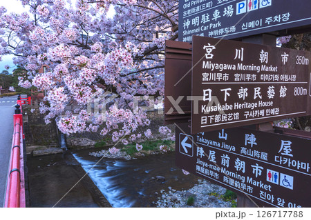 250422中橋桜z086 250422中橋桜z086 126717788