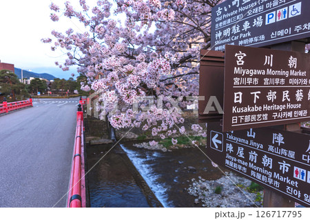 250422中橋桜z118 250422中橋桜z118 126717795