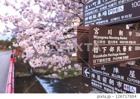 250422中橋桜z165 250422中橋桜z165 126717804