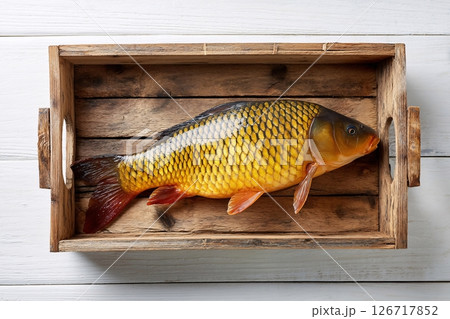 tempting carp in the rustic corner on a white background, in a clean food photography style 126717852