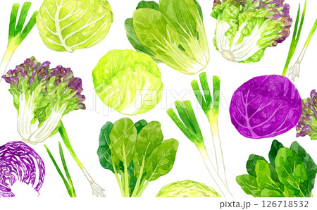 フレッシュな葉物野菜の背景 手描き水彩イラスト素材 フレッシュな葉物野菜の背景 手描き水彩イラスト素材 126718532