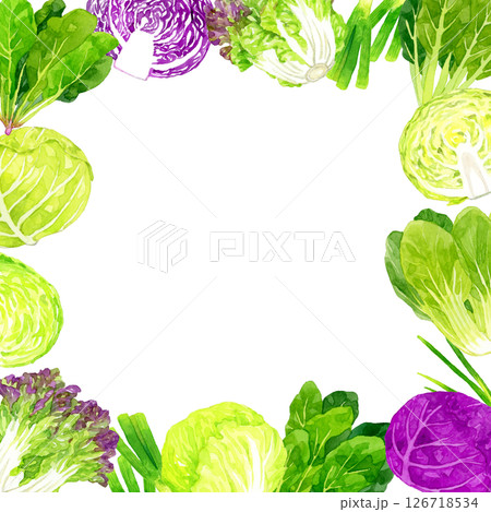 フレッシュな葉物野菜のフレーム 手描き水彩イラスト背景素材 フレッシュな葉物野菜のフレーム 手描き水彩イラスト背景素材 126718534