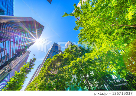 日本の東京都市景観 大手町の森などを望む。希望の光…=5月28日、大手町 日本の東京都市景観 大手町の森などを望む。希望の光…=5月28日、大手町 126719037