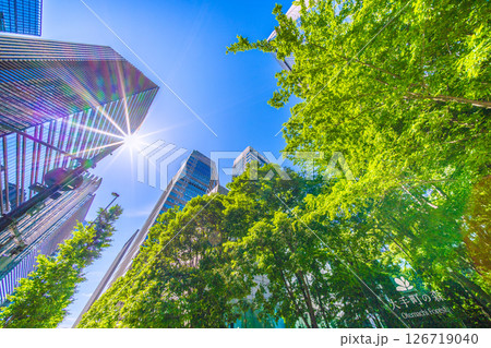 日本の東京都市景観 大手町の森などを望む。希望の光…＝5月28日、大手町 126719040