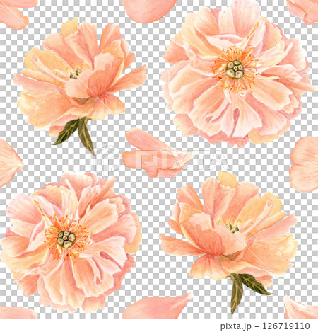 Peony flower head in soft peach tones watercolor seamless pattern. Hand-painted with high detail, perfect for wedding invitations, feminine branding, packaging, fabric design, cards. Coral charm color 126719110